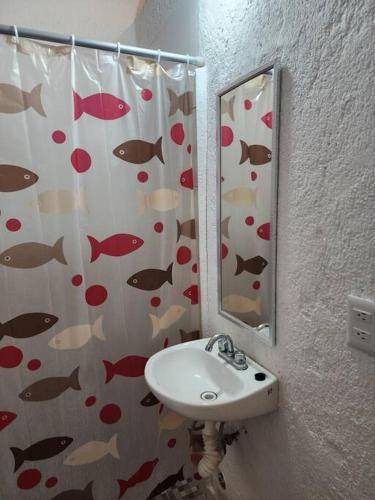 Photo of Bathroom in Lazaro Cardenas