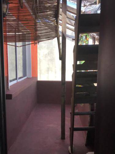 Photo of Others in Merida Municipality
