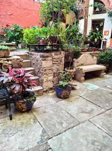 Photo of Others in Guanajuato