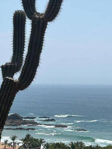Photo of Others in San Agustinillo