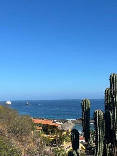 Photo of Others in San Agustinillo