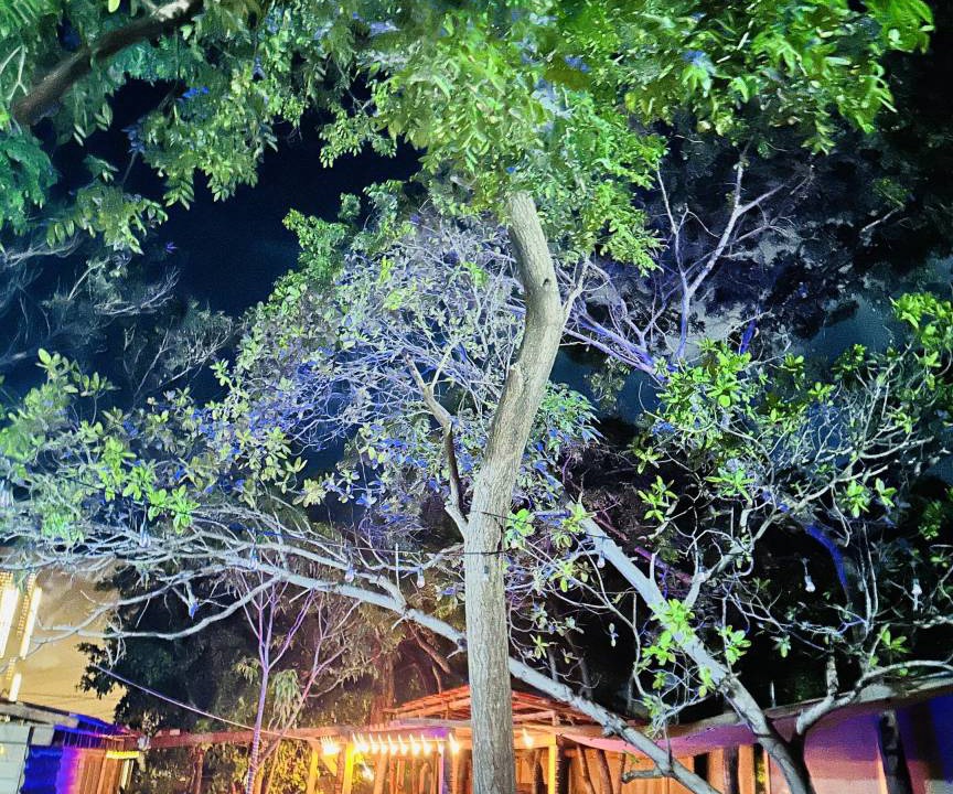 Photo of Others in Barra de Colotepec