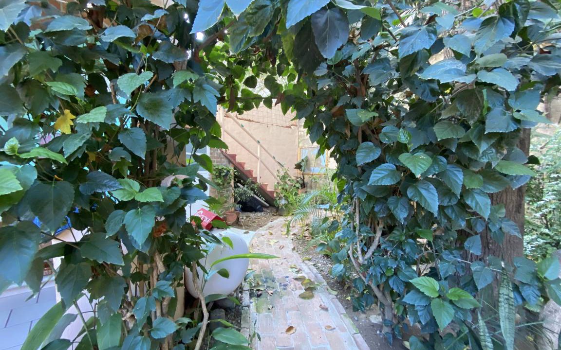 Photo of Others in Sayulita