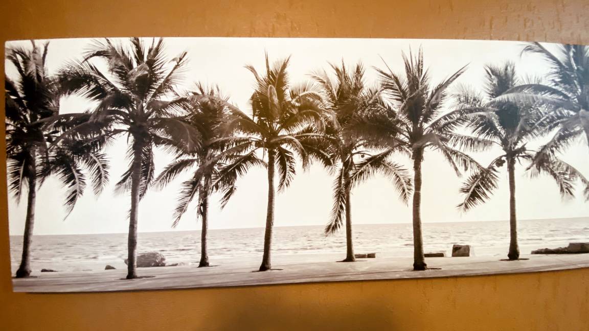 Photo of Others in Sandy Beach