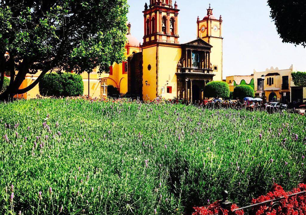 Photo of Others in San Juan del Rio