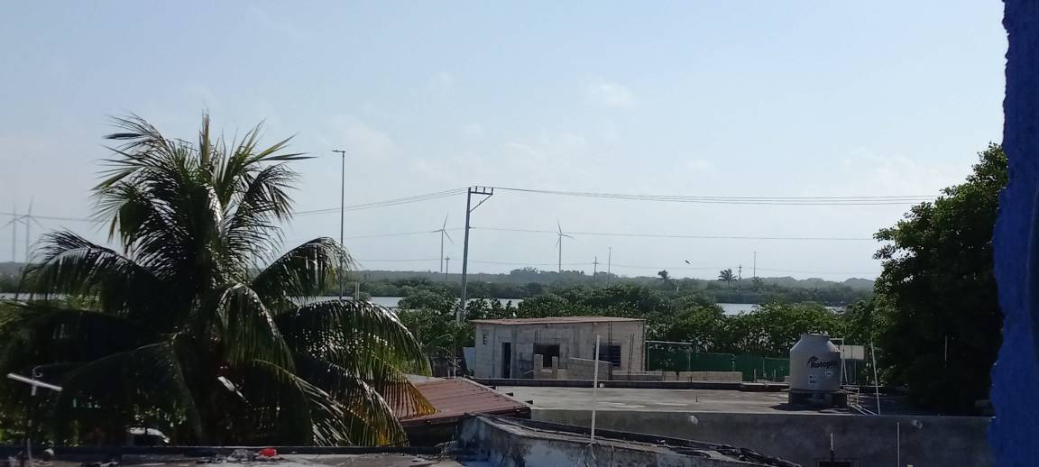 Photo of Others in Chicxulub Puerto