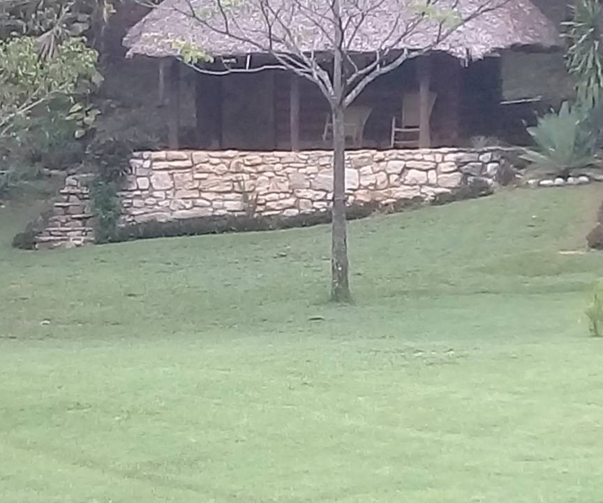 Photo of Others in Tamasopo