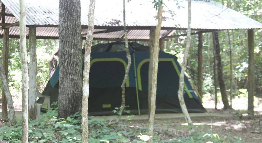 Photo of Others in Calakmul