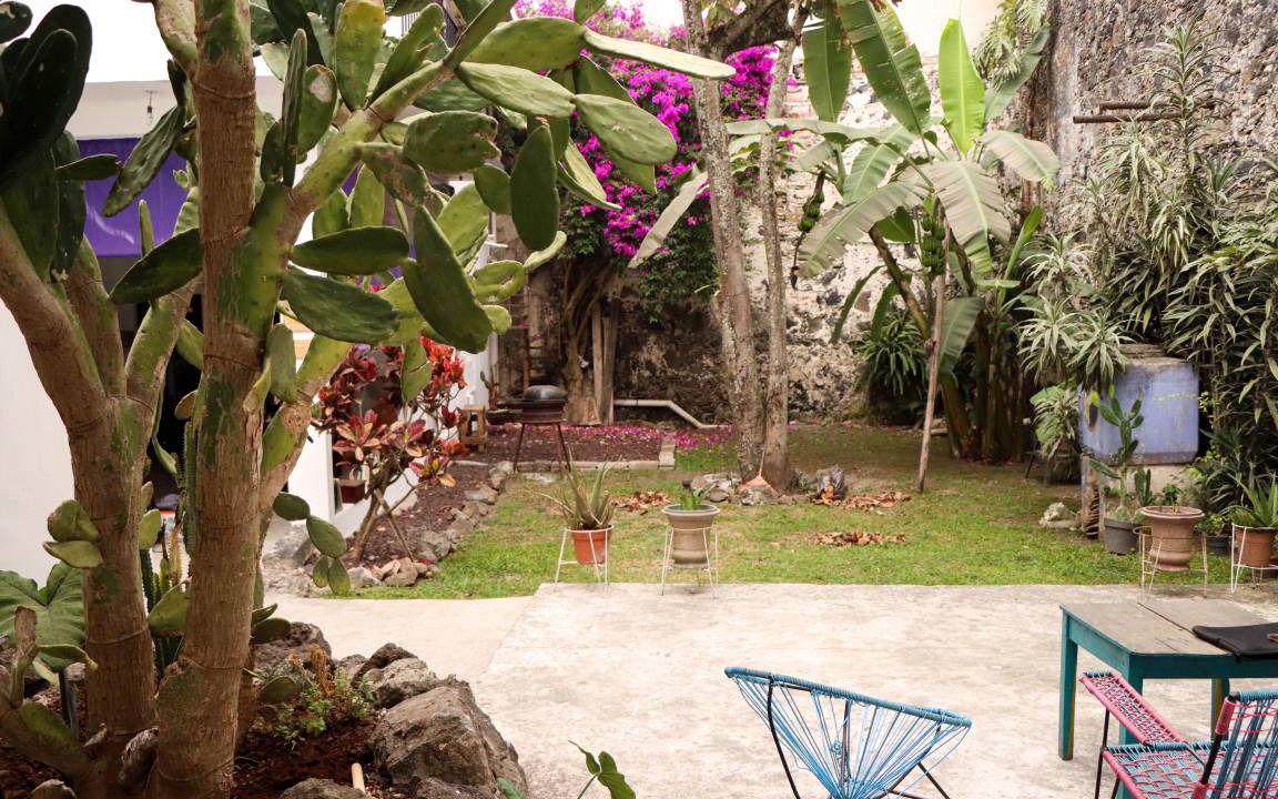 Photo of Others in Xalapa
