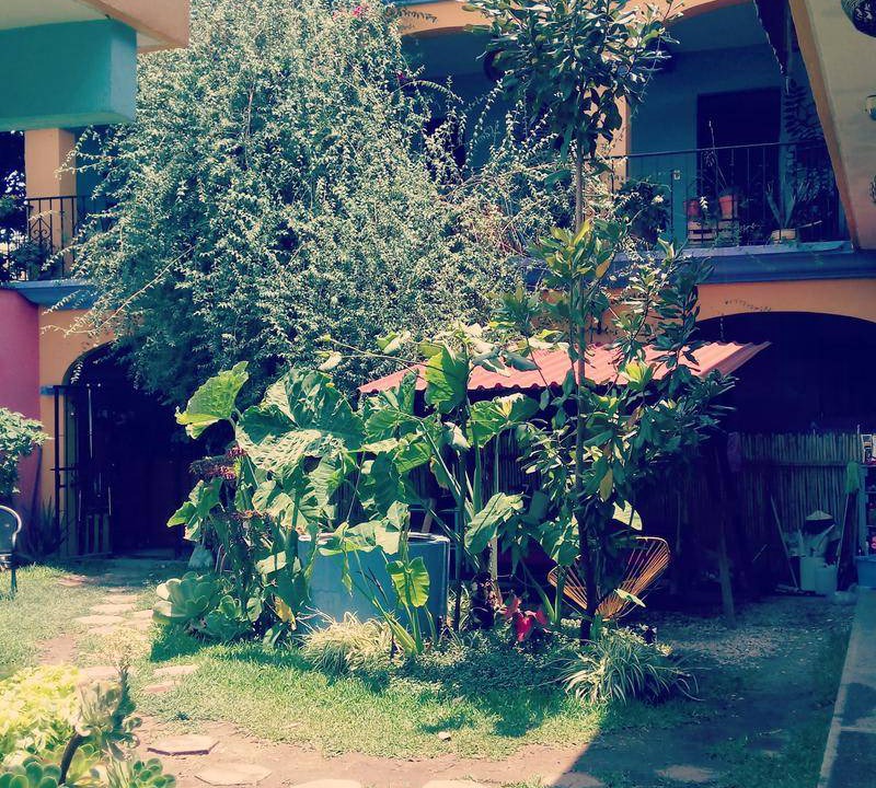 Photo of Others in Oaxaca