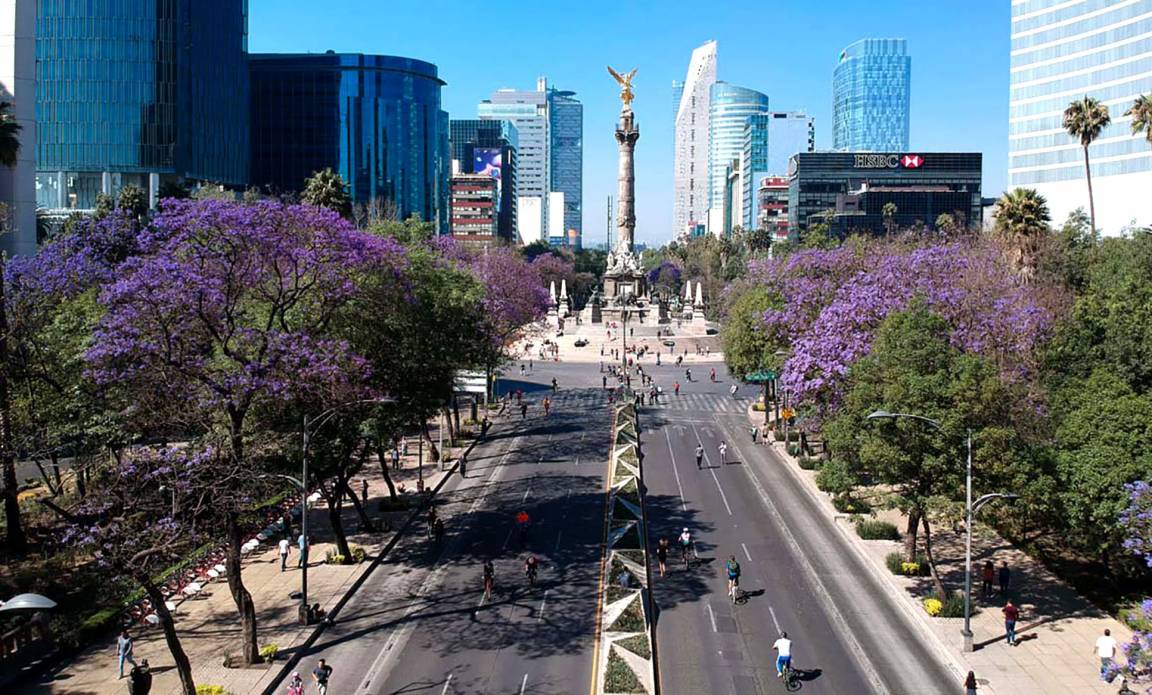 Photo of Others in Cuauhtemoc