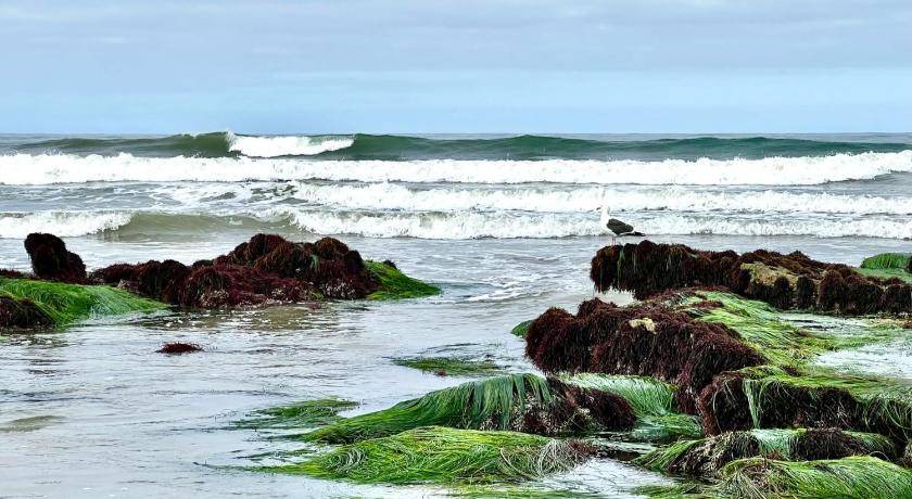 Photo of Others in Playas de Rosarito