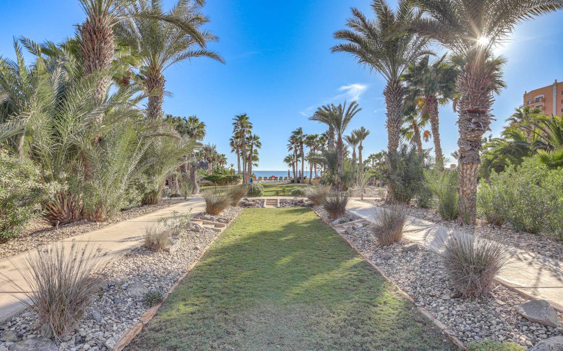 Photo of Others in Puerto Penasco