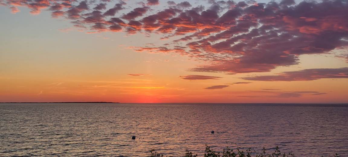 Photo of Others in Baldwin