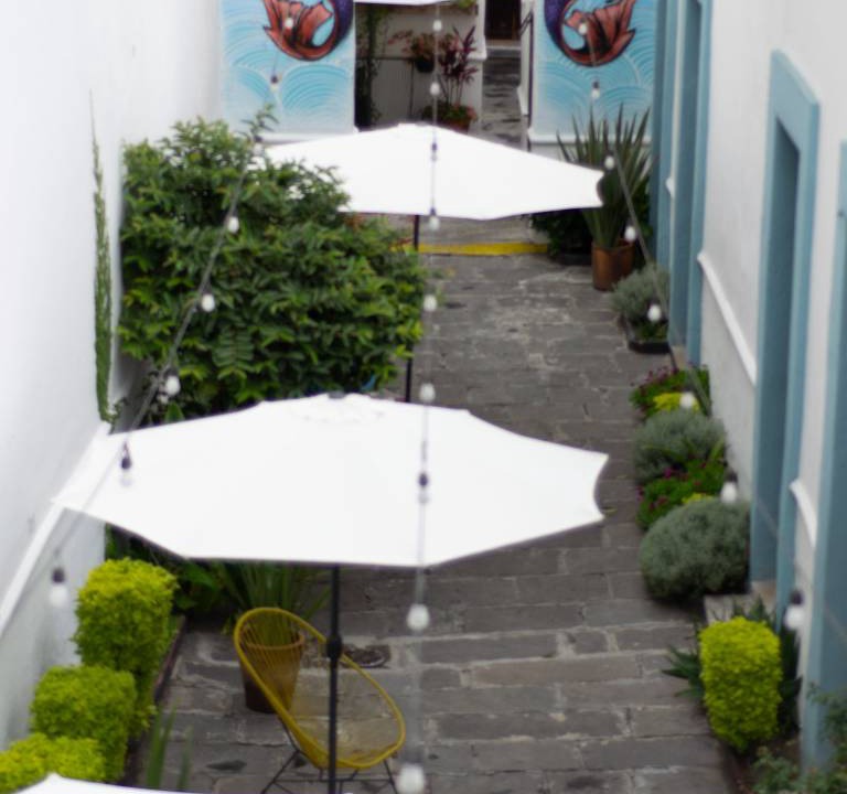 Photo of Others in Puebla Historic Center