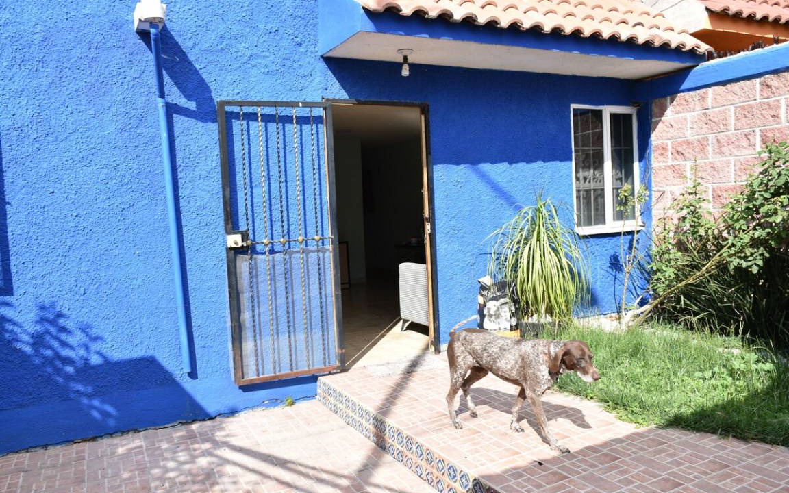 Photo of Others in Queretaro