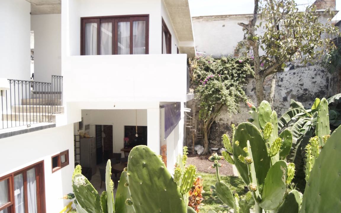 Photo of Others in Xalapa