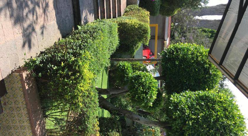 Photo of Others in Bosques de las Lomas