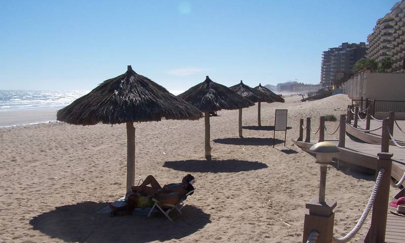 Photo of Others in Puerto Penasco