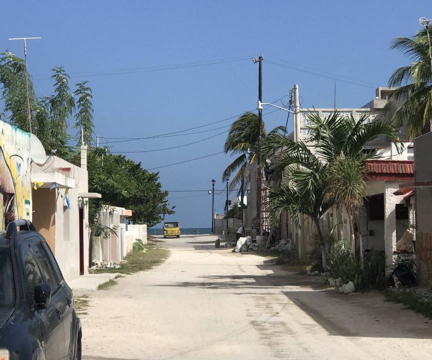 Photo of Others in Sisal