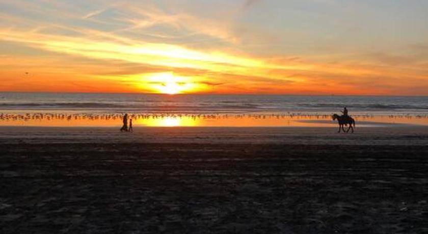 Photo of Others in Centro Playas
