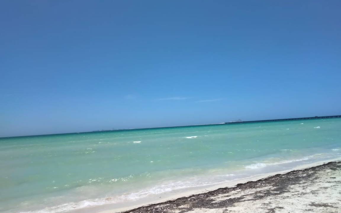 Photo of Others in Chicxulub Puerto