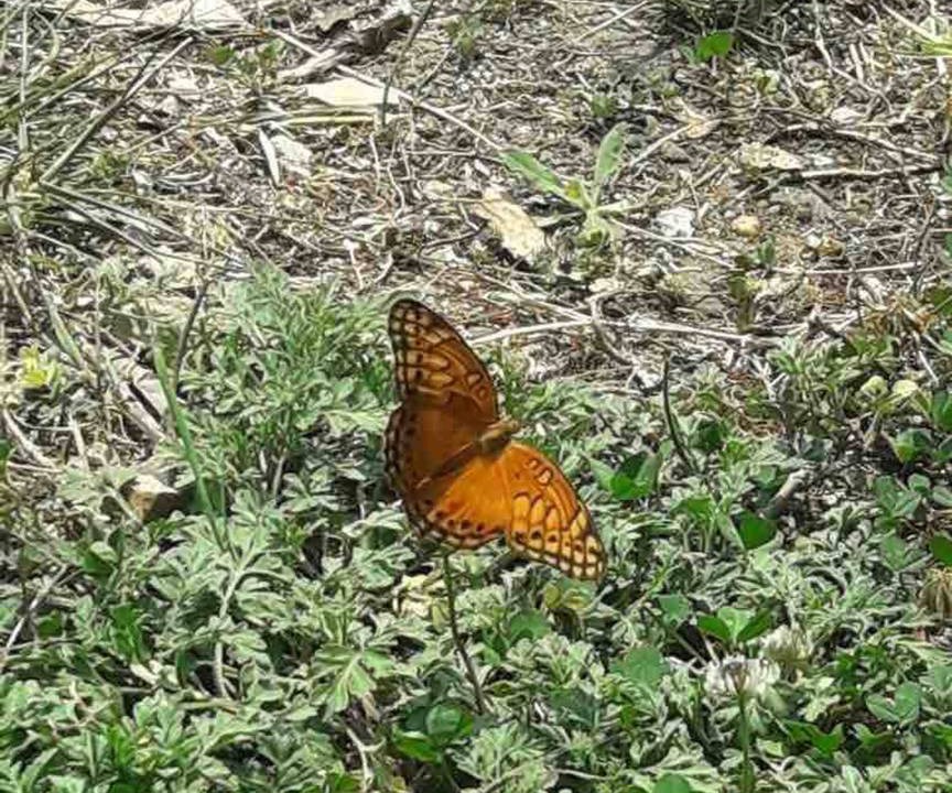 Photo of Outdoor in San Cristobal de las Casas