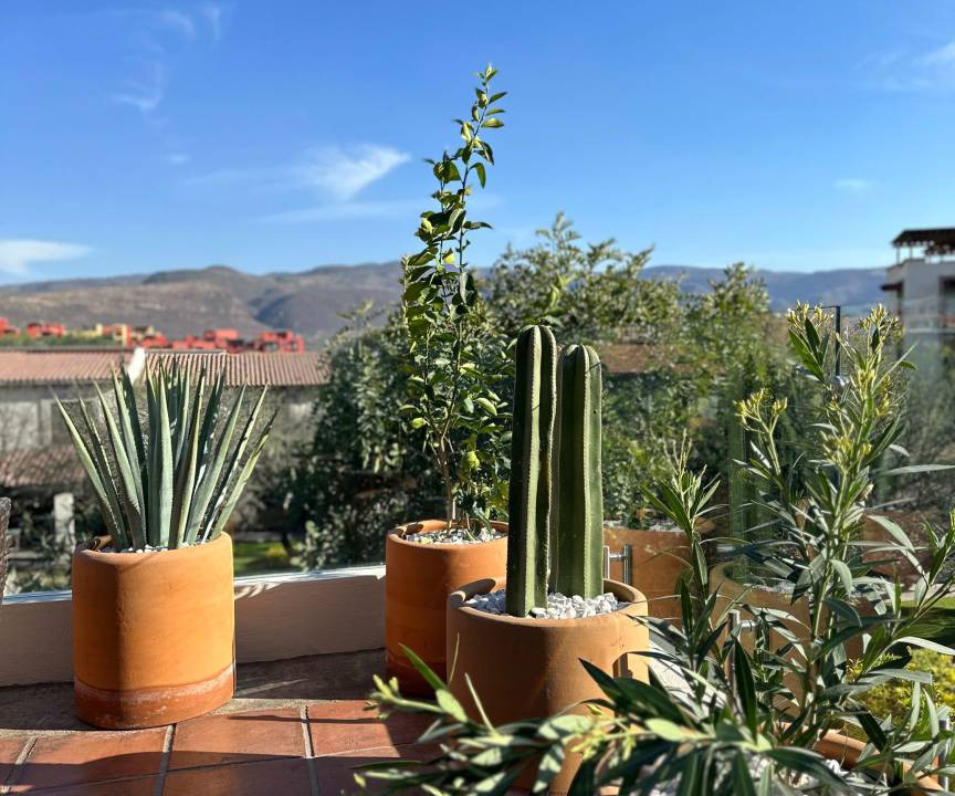 Photo of Others in San Miguel de Allende