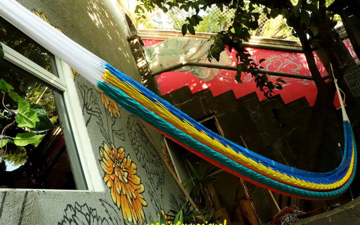 Photo of Others in Downtown Queretaro
