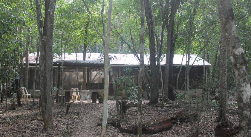 Photo of Others in Calakmul