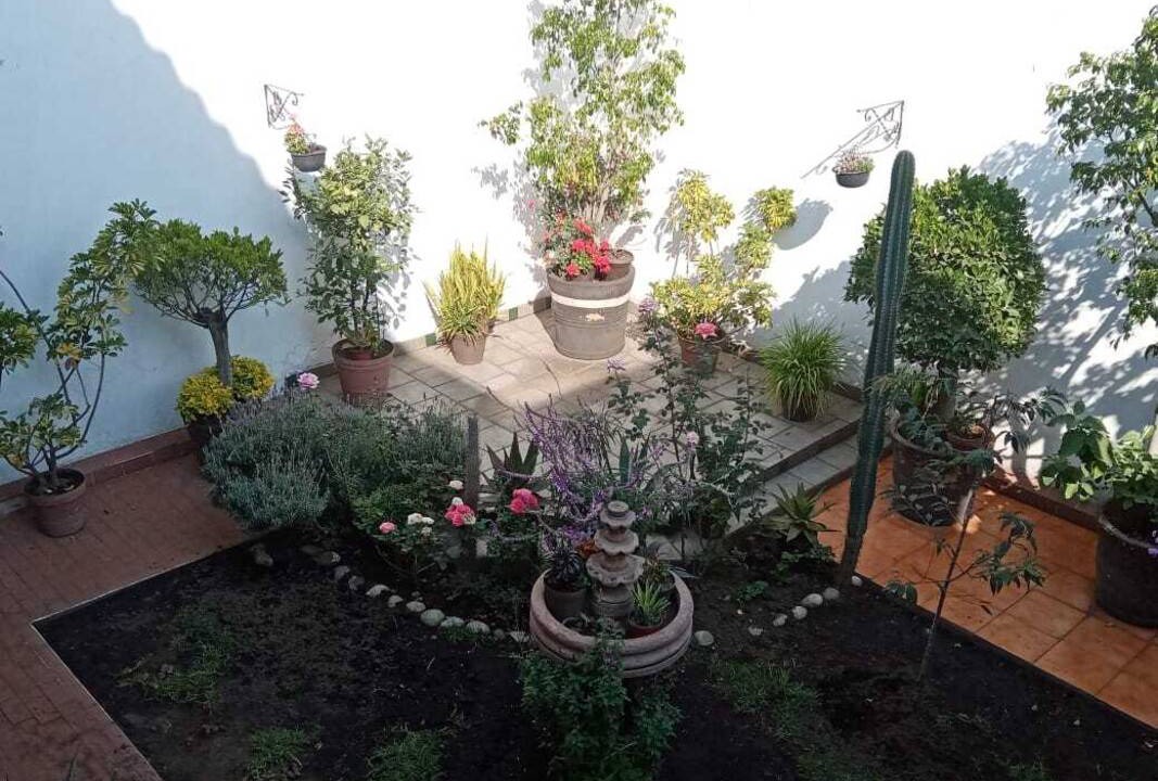 Photo of Others in San Francisco Culhuacan