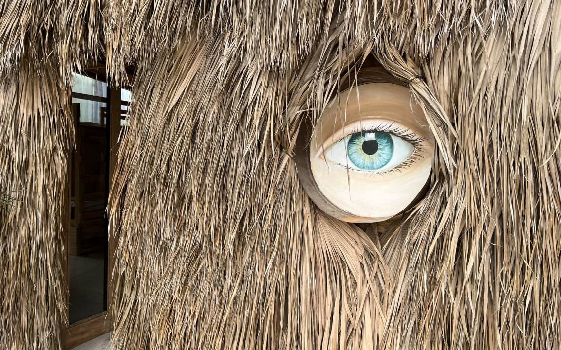 Photo of Others in Todos Santos