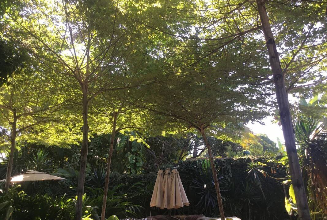 Photo of Outdoor in Santa Cruz