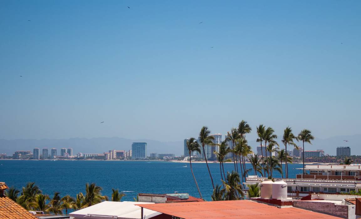 Photo of Others in Downtown Puerto Vallarta