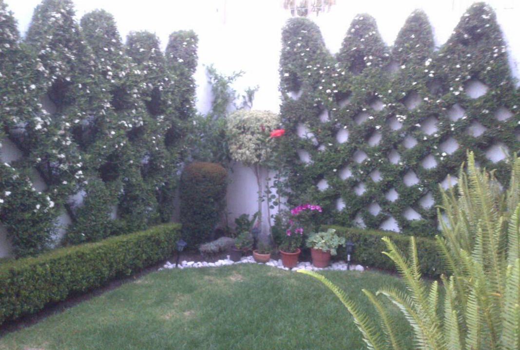 Photo of Others in Puebla