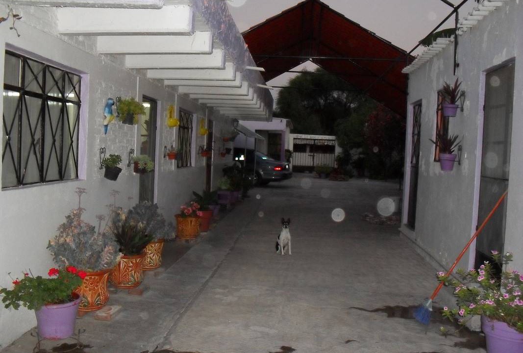 Photo of Others in San Juan del Rio