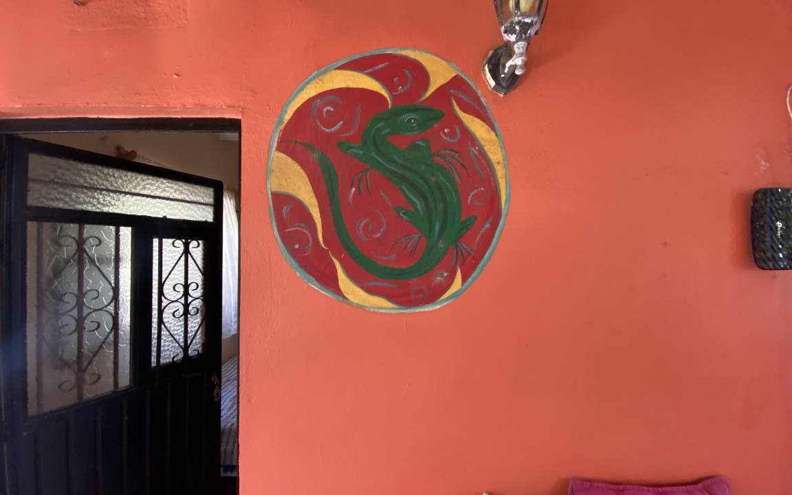 Photo of Others in Sayulita