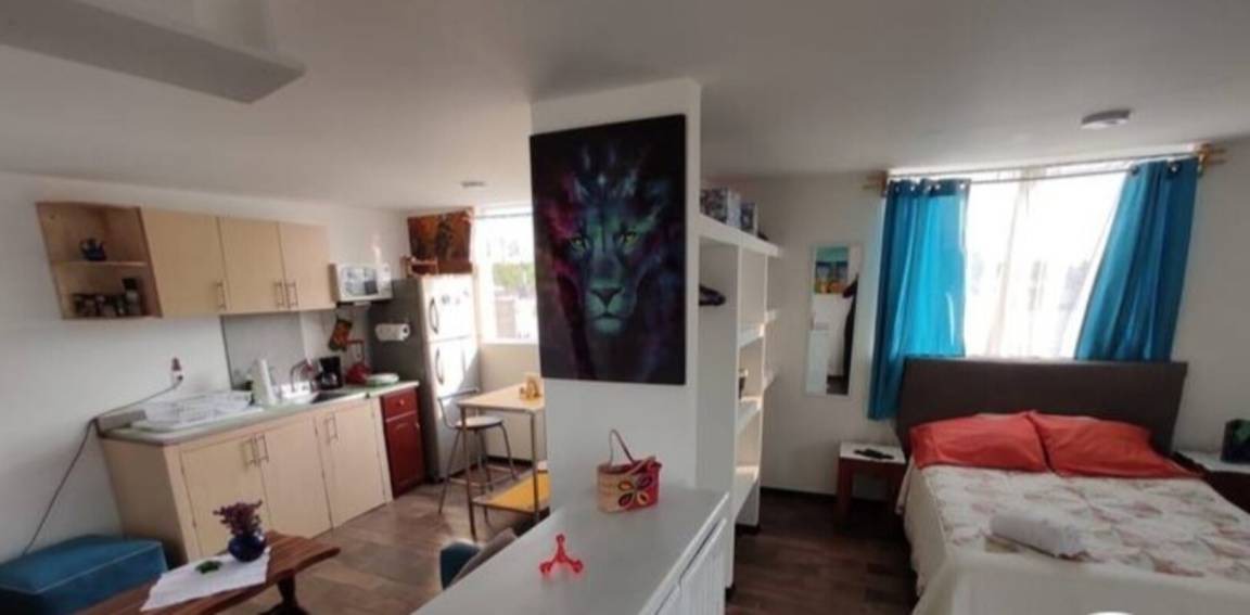 Photo of Livingroom in Coyoacan