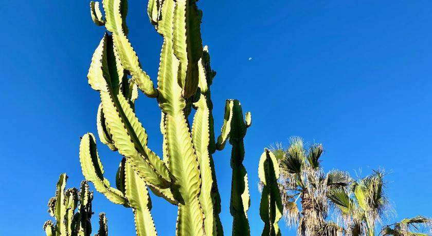 Photo of Others in Playas de Rosarito