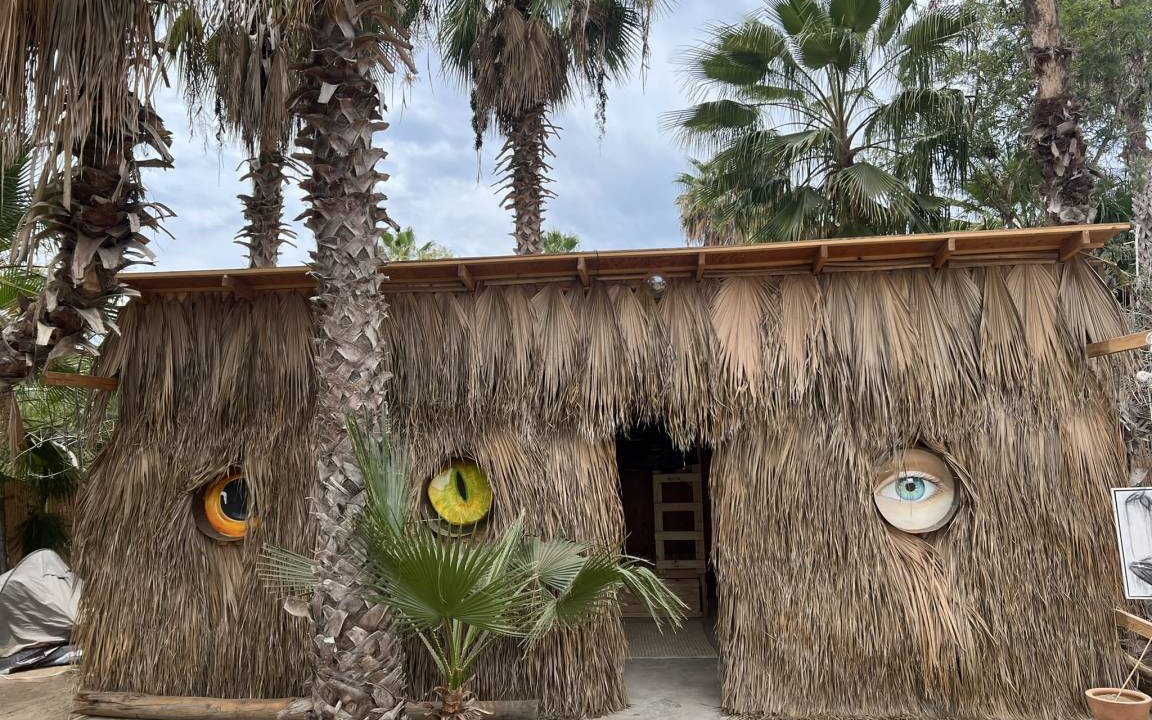 Photo of Others in Todos Santos