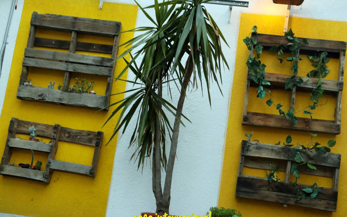 Photo of Others in Downtown Queretaro
