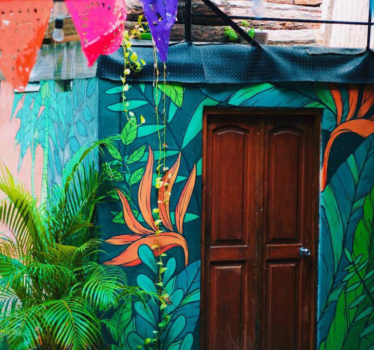 Photo of Others in Sayulita