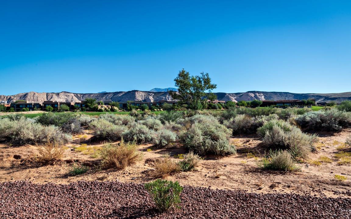 Photo of Others in St. George