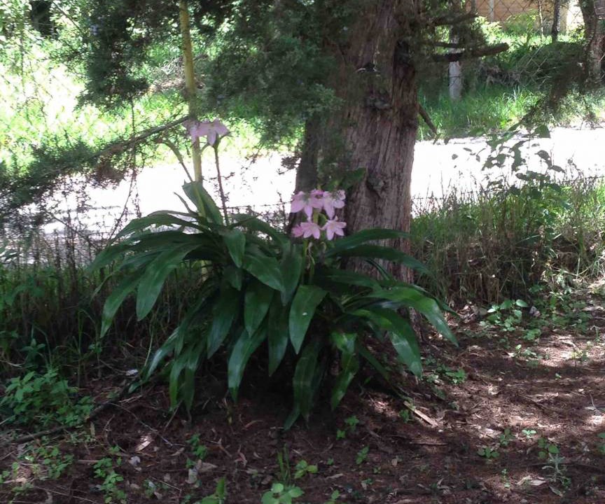Photo of Outdoor in San Cristobal de las Casas