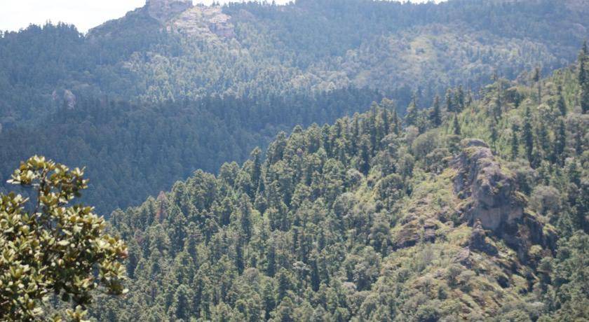 Photo of Others in Huasca De Ocampo