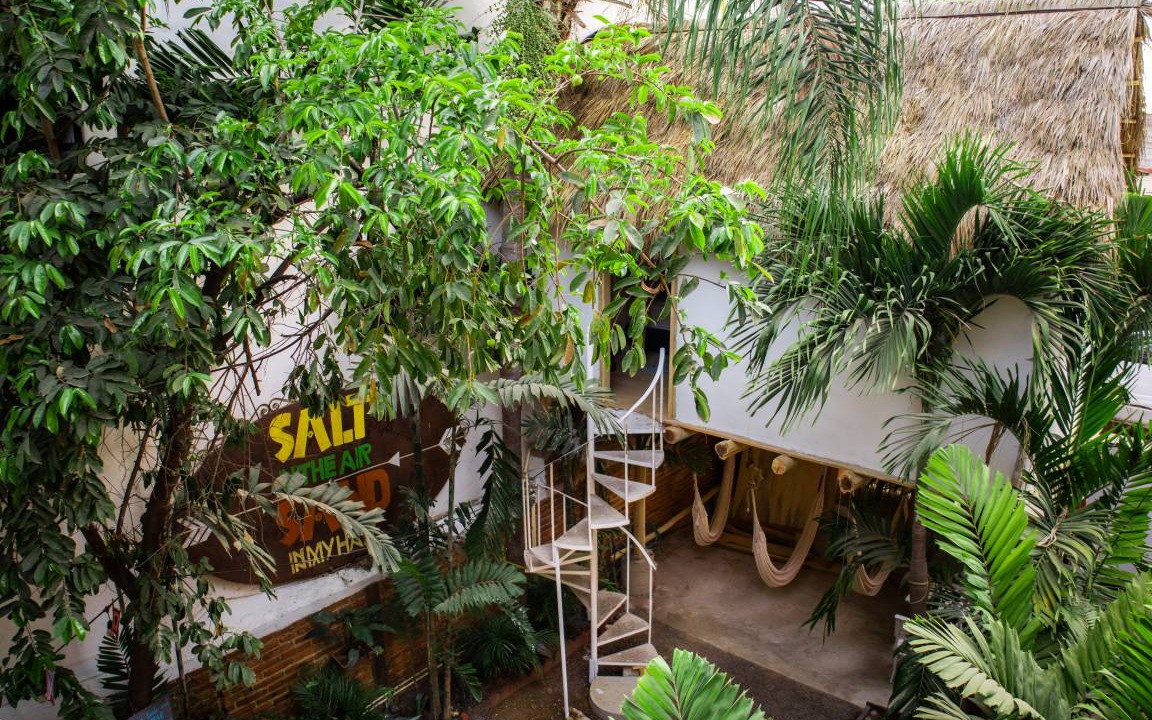 Photo of Others in Sayulita