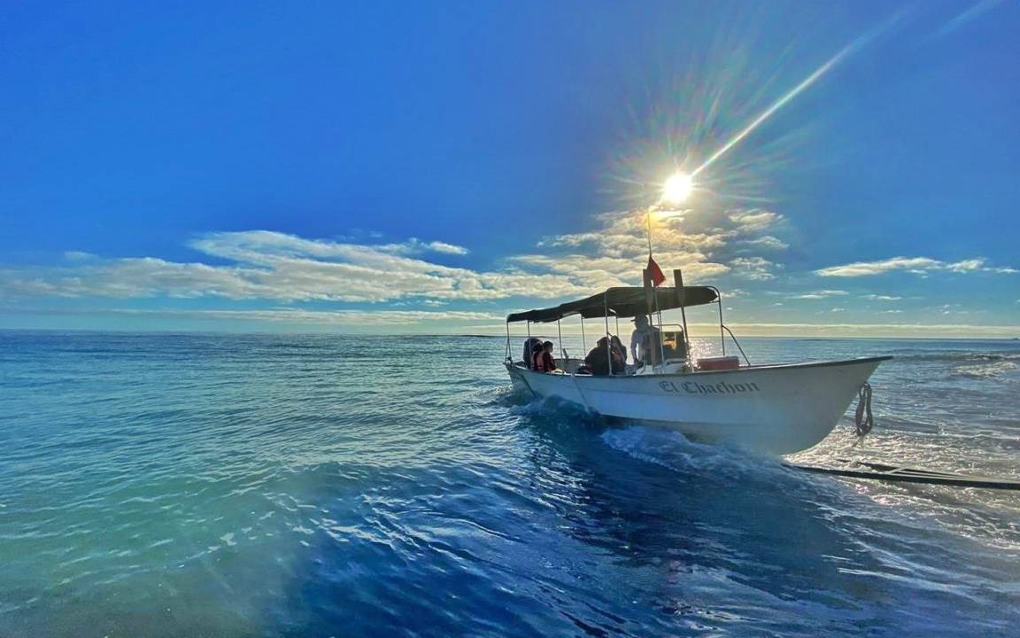 Photo of Others in Cabo Pulmo