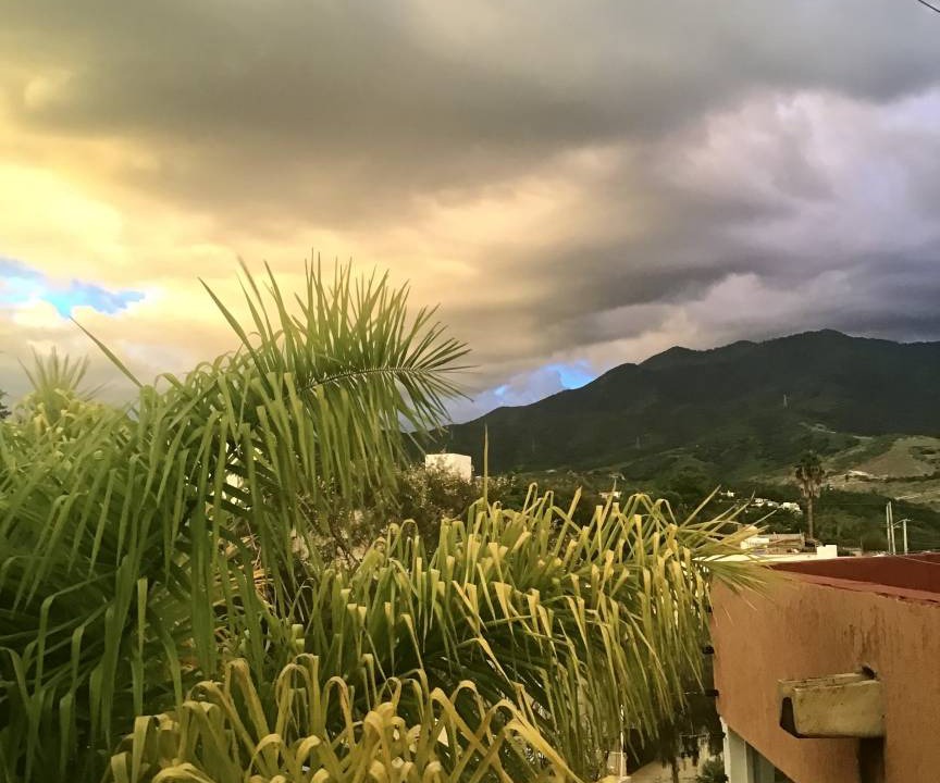 Photo of Others in Oaxaca