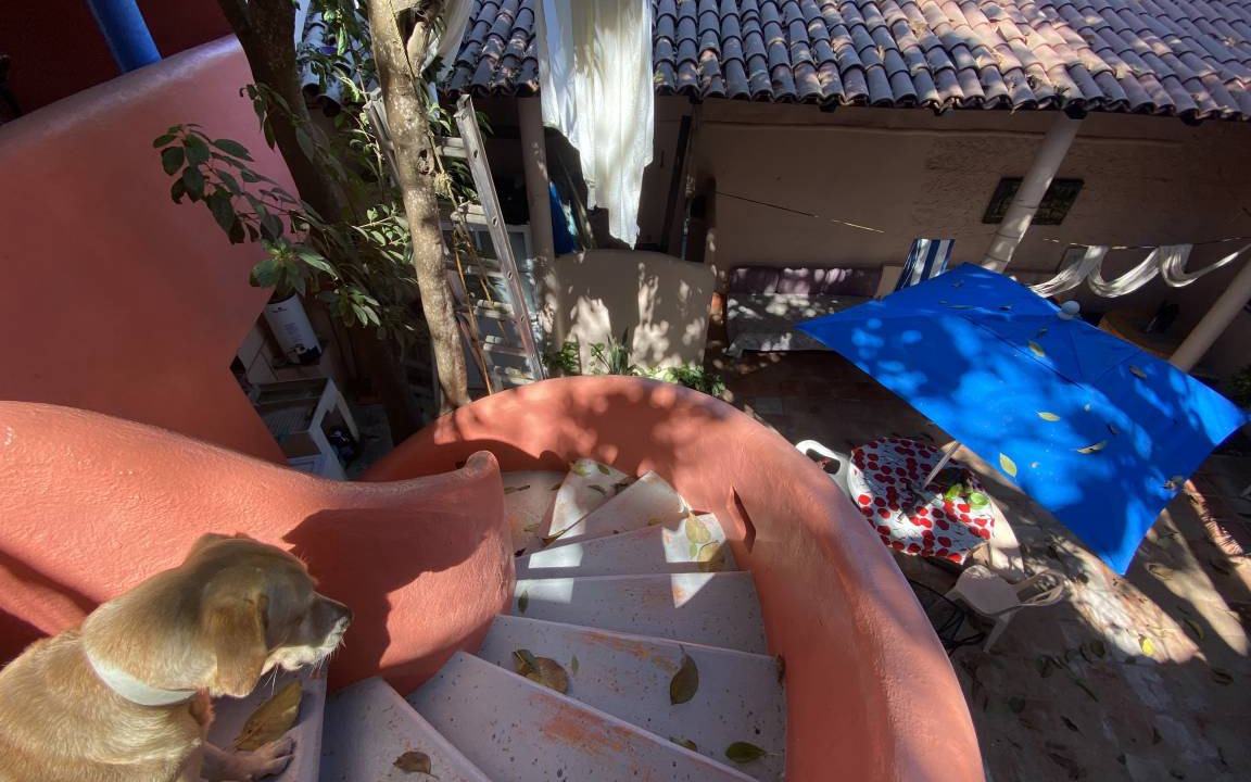 Photo of Others in Sayulita