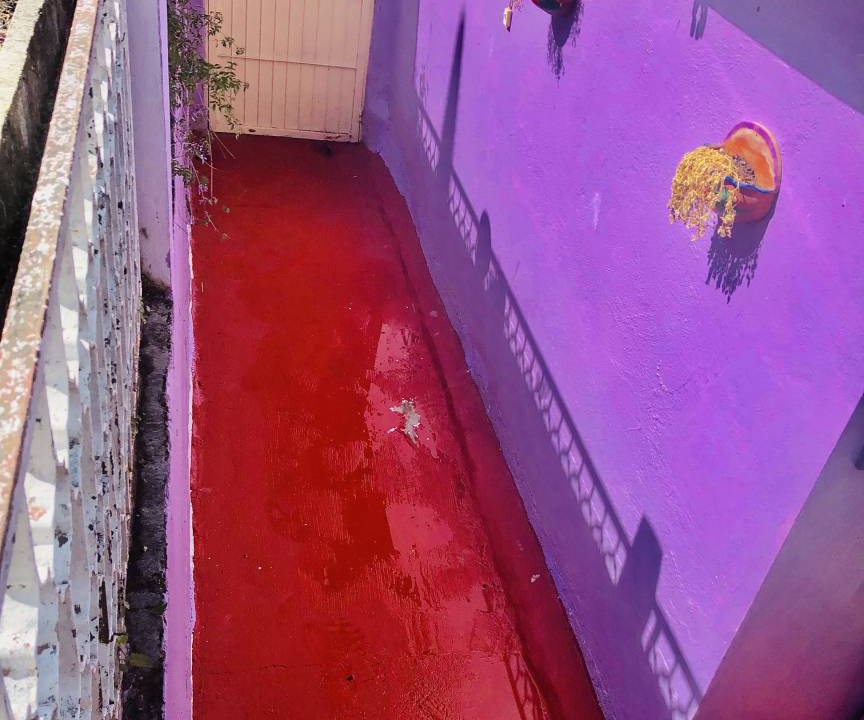 Photo of Others in De Guadalupe